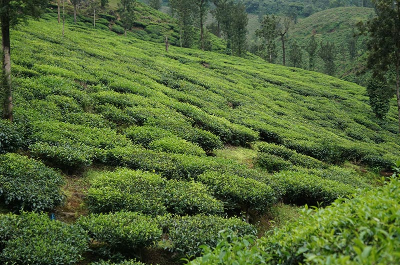 Karnataka