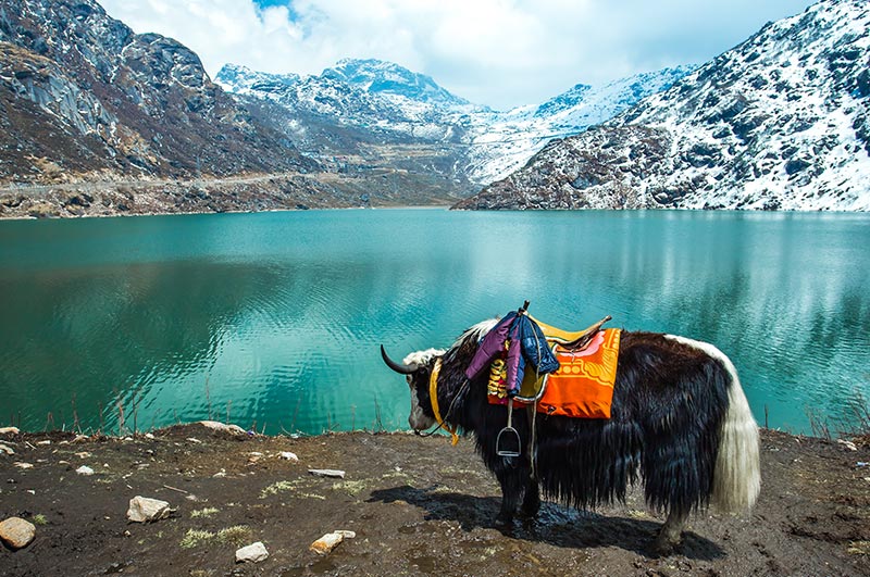 Sikkim