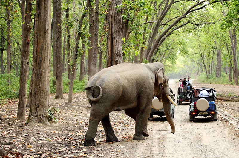Periyar Wildlife Sanctuary, Kerala