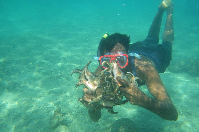 Snorkeling india