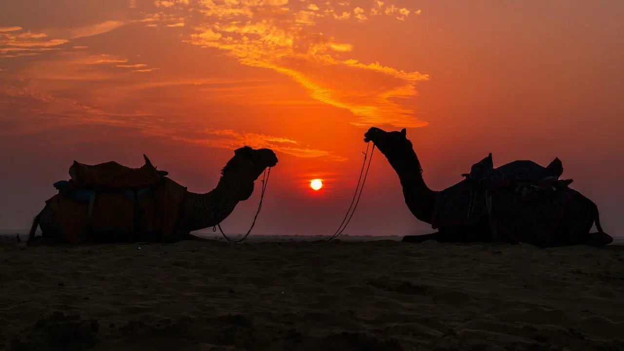 During Sunset Rann of Kutch Gujarat