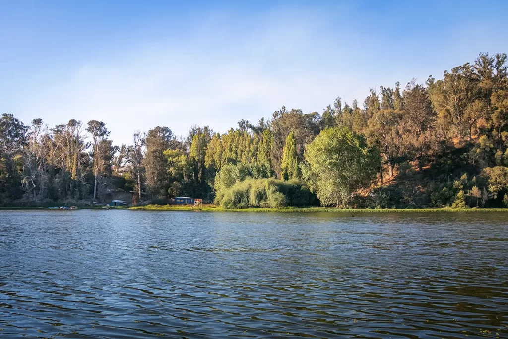 ooty