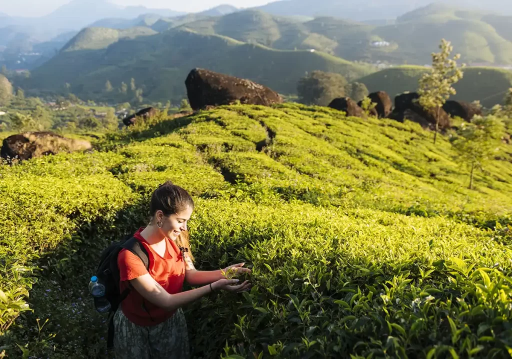 outdoorkeeda-munnar