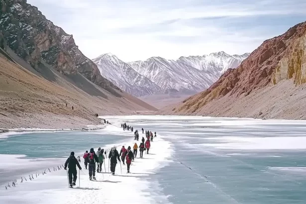 chadar trek