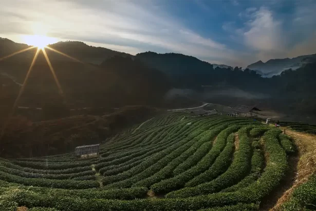 Assam
