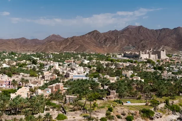 taif saudi arabia