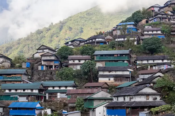 nagaland