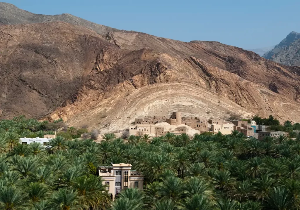 taif saudi arabia
