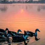 loktak lake