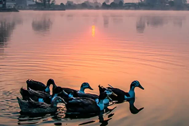 loktak lake