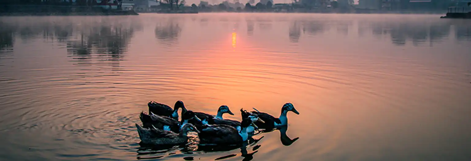 loktak lake