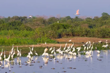 mandya tourism