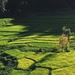 ziro valley
