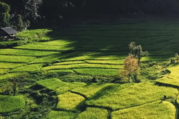 ziro valley