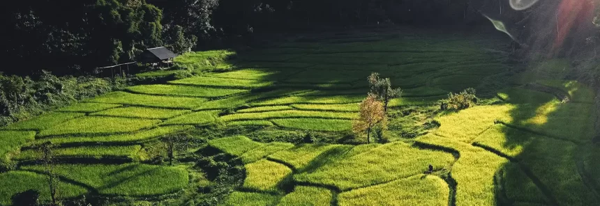 ziro valley