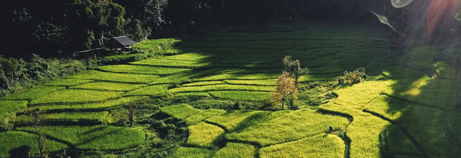 ziro valley