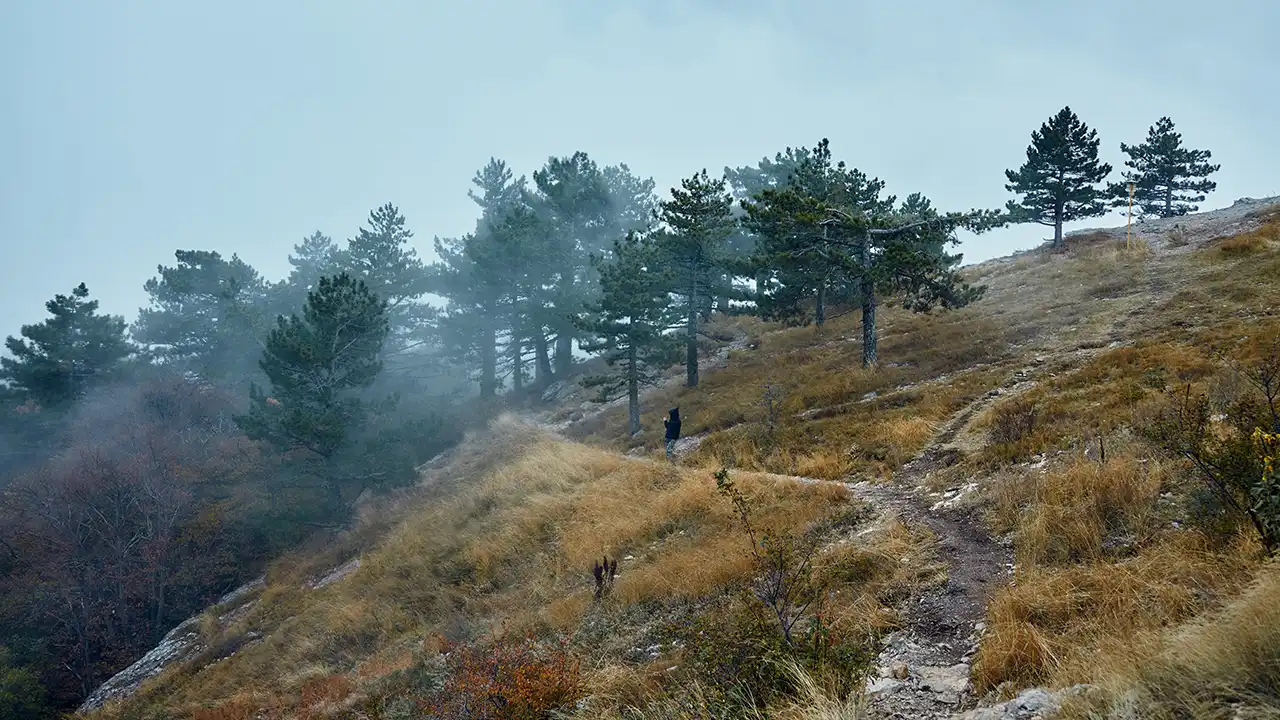 5 Offbeat Hill Stations in North India