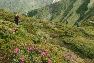 Best Activities in Valley of Flowers