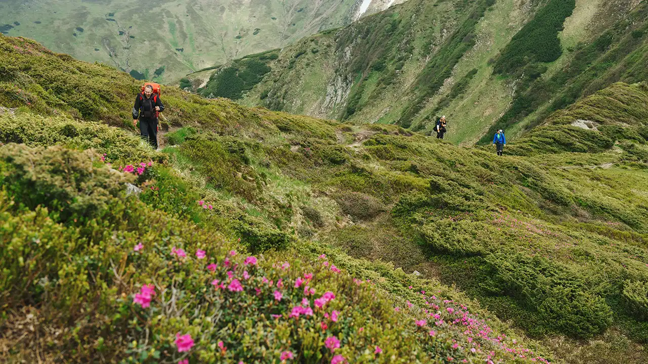 Best Activities in Valley of Flowers
