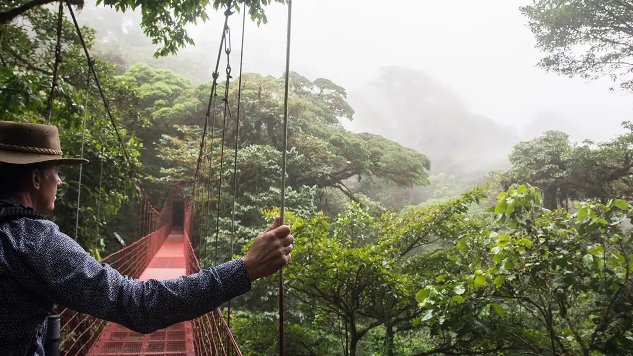 Best Rainforest Destinations for Wildlife Lovers