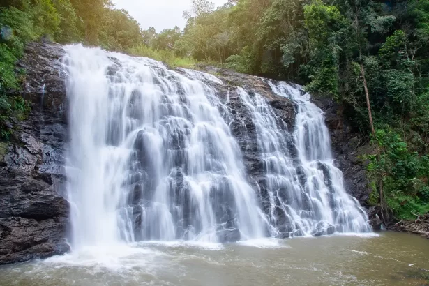 Coorg