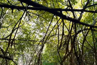 Hidden Gems in North East India
