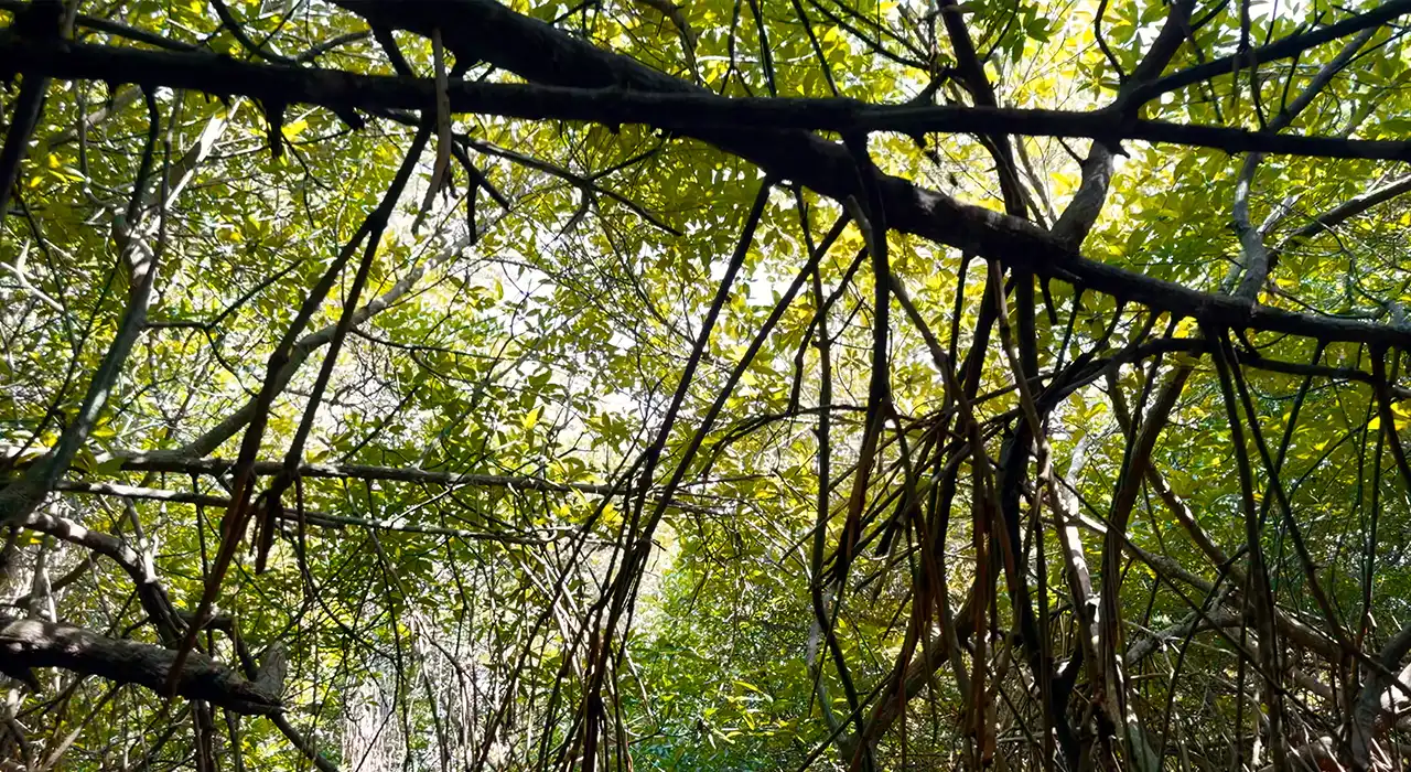 Hidden Gems in North East India