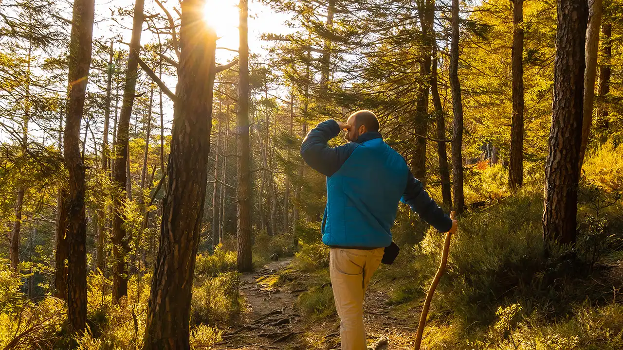 Hiking vs Trekking Which Outdoor Travel Style Suits You