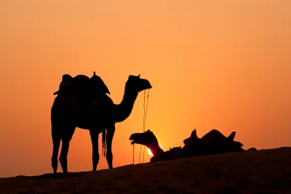 Top 10 Travel Photography Destinations in India