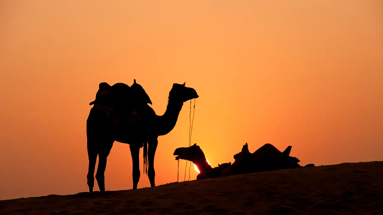 Top 10 Travel Photography Destinations in India