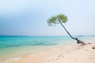 Top 10 places for summer vacation