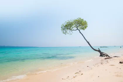 Top 10 places for summer vacation