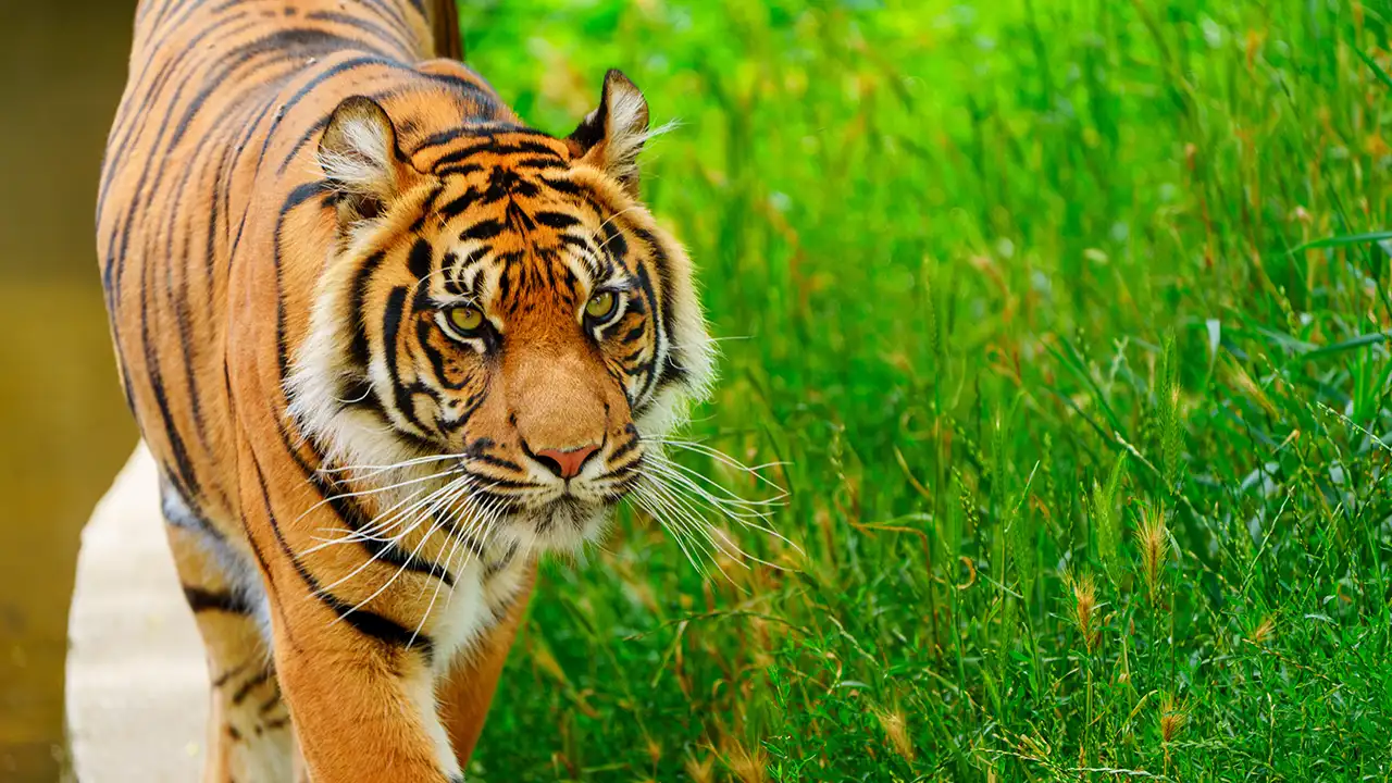 Top Indian National Parks
