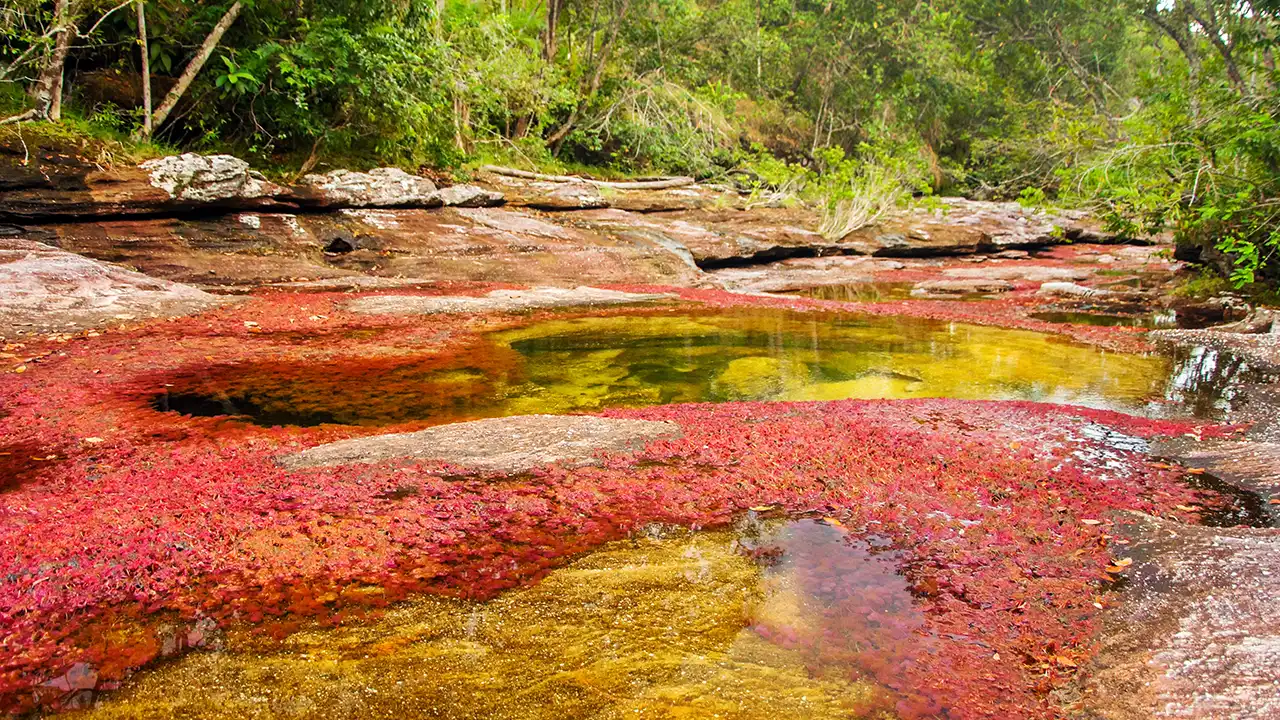 10 Most Colourful Rivers from Around the World