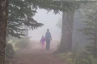 10 Offbeat Hill Stations in South India