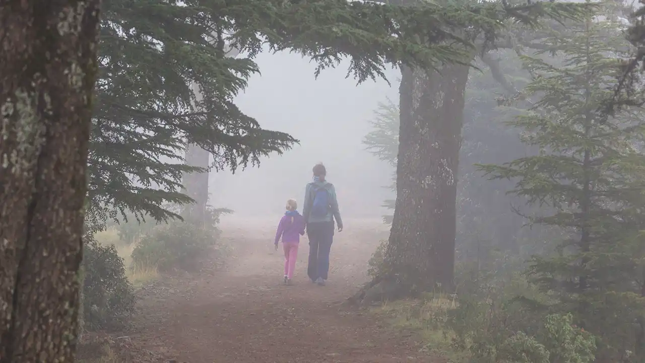 10 Offbeat Hill Stations in South India