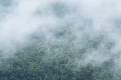 5 Safe Places in India to Experience Rains