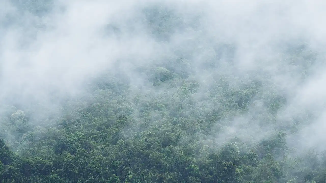 5 Safe Places in India to Experience Rains