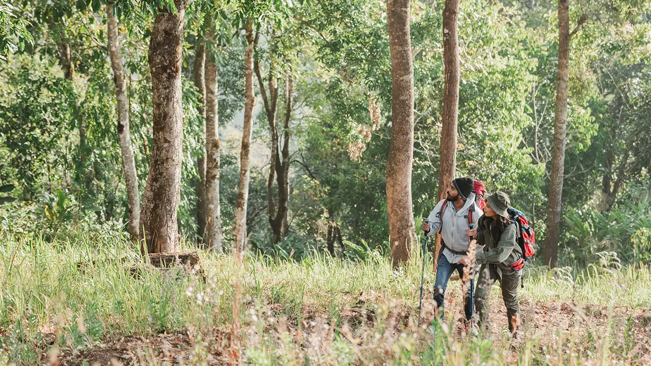 6 Places to Visit In Tirunelveli