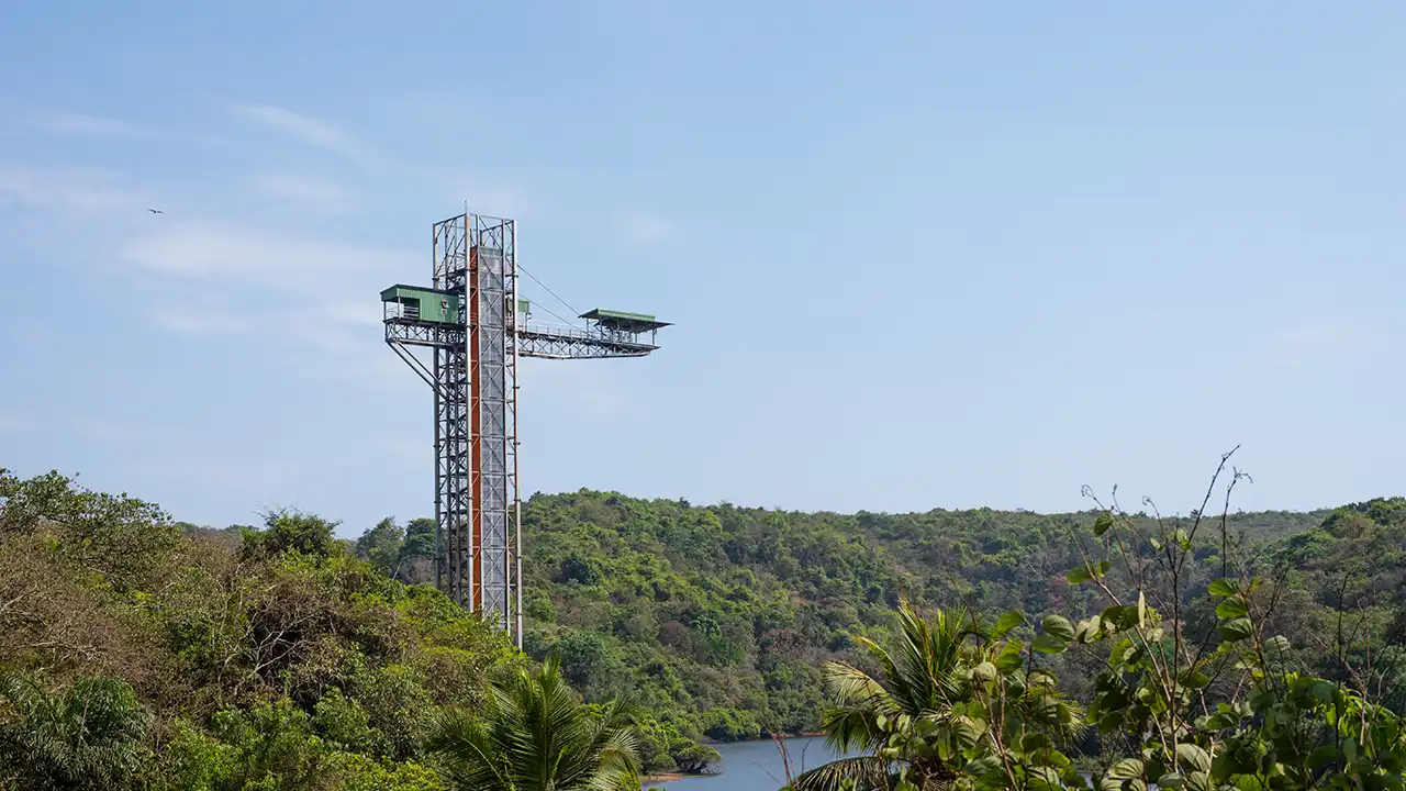Bungee Jumping at Bloukrans Bridge