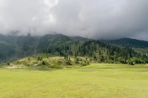 Doodhpathri Trek