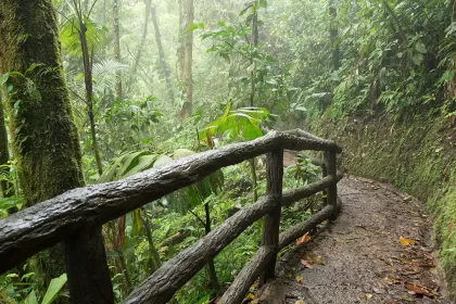 Hidden Gems Perfect for Heavy Monsoon Weather