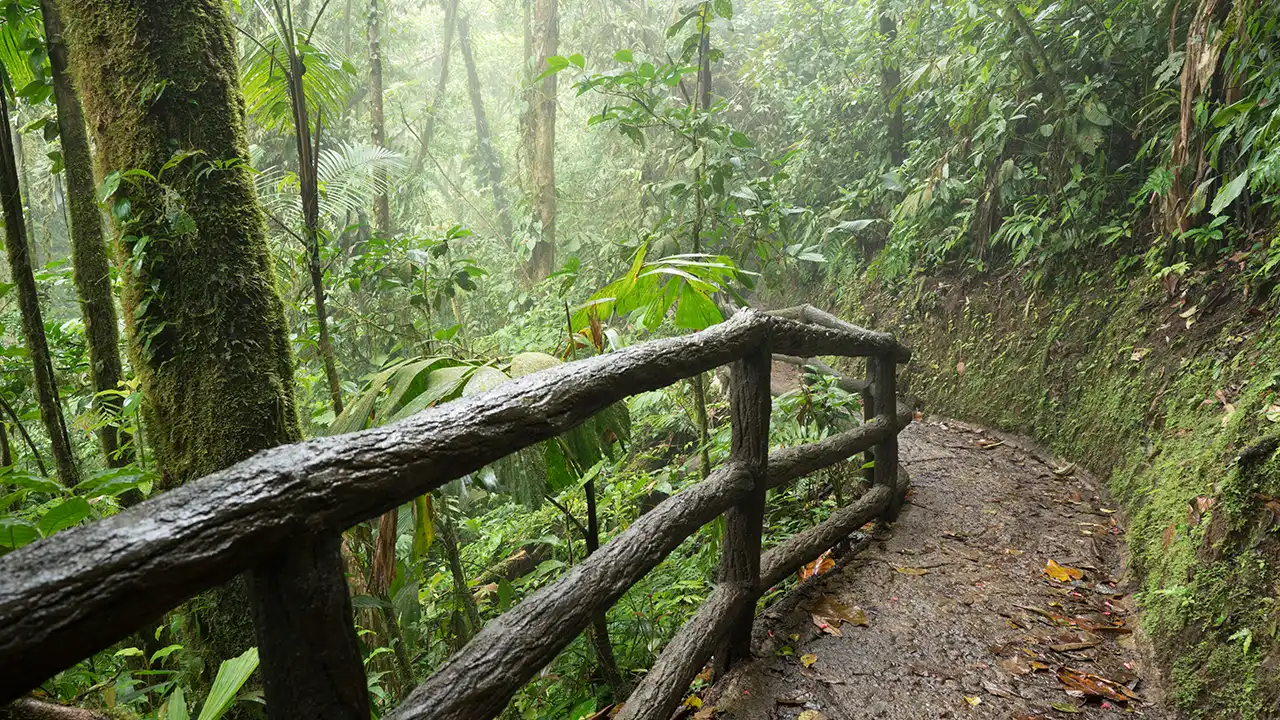Hidden Gems Perfect for Heavy Monsoon Weather