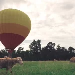 Hot Air Balloon Ride in Masai Mara, Kenya
