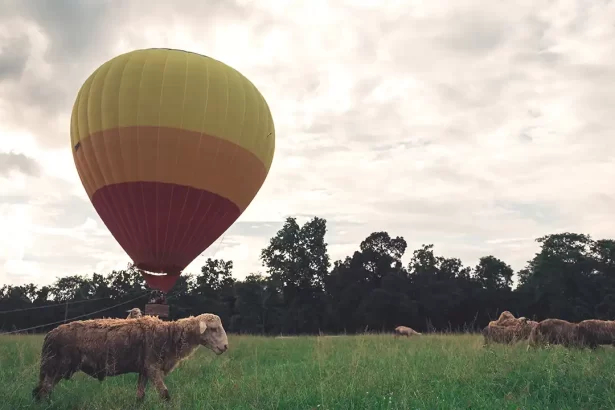 Hot Air Balloon Ride in Masai Mara, Kenya