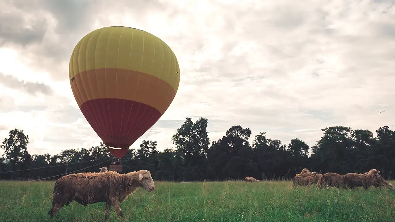 Hot Air Balloon Ride in Masai Mara, Kenya
