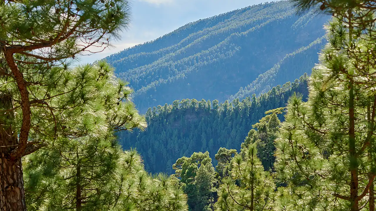 Kausani Himalayan Views