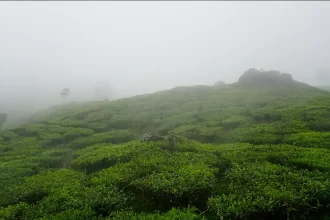 Monsoon Magic: Top 4 Destinations in India for Incredible Views