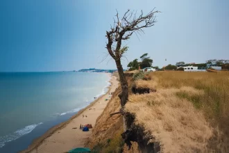 Odisha’s Secret Beaches for a Peaceful Getaway