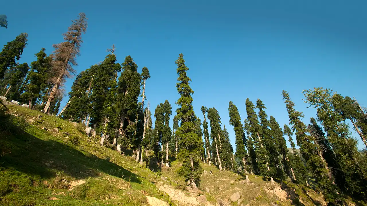 Offbeat Places in India to Visit This Eid al-Adha